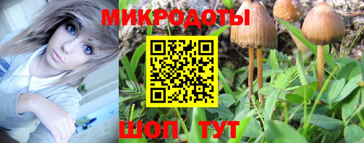 Ростов-на-Дону  Галлюциногенные грибы ЛСД  Вход с VPN 